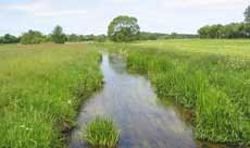 Wunderschöne Natur der Prignitz